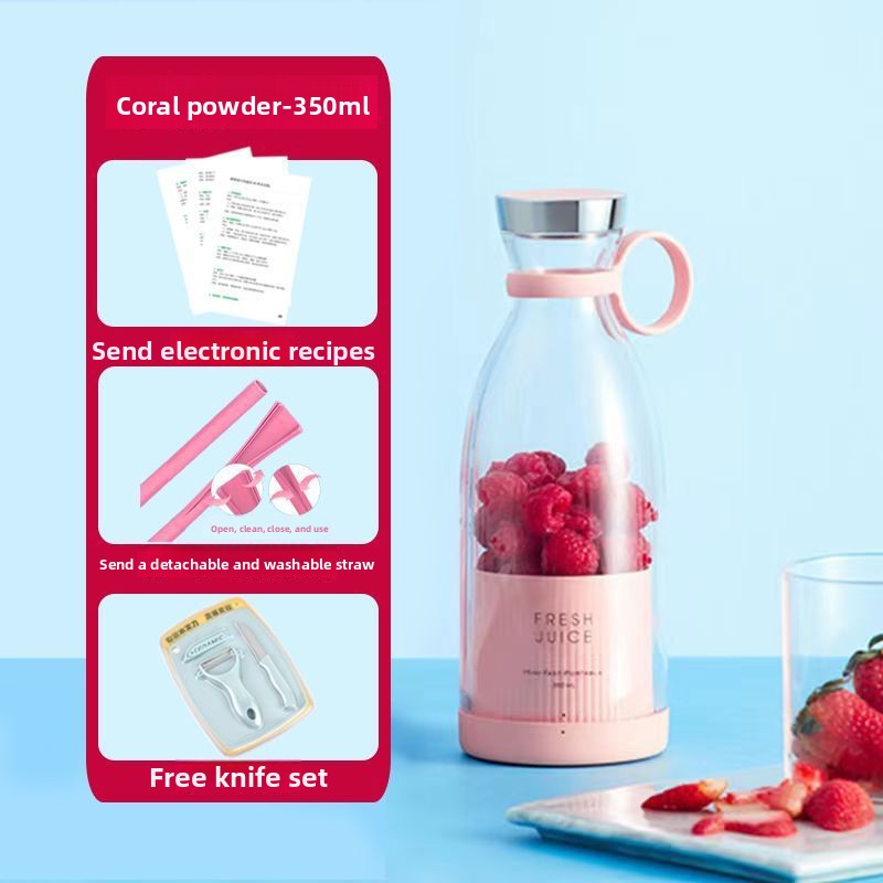Fruit juicer